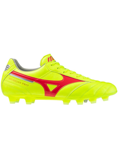 Mizuno u sale