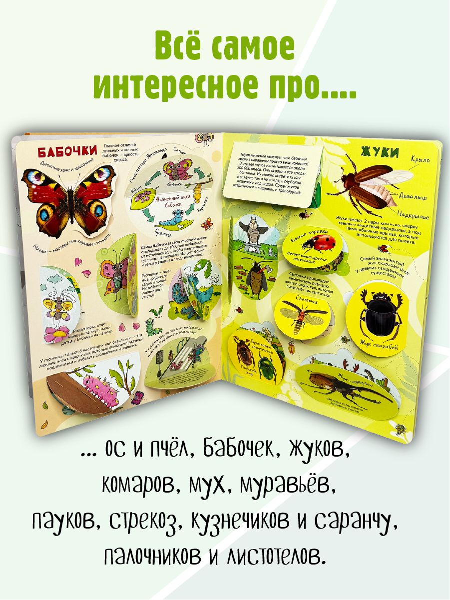 Книга детская энциклопедия с окошками Виммельбух | My First Book About Insects - Ozon image 2