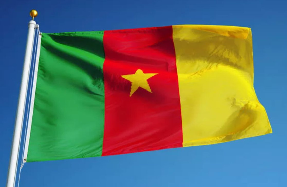 Флаг Камеруна 80х120 см #1