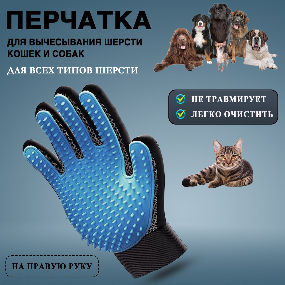 Перчатка для вычесывания шерсти кошек, собак, лошадей, кроликов голубая правая  #1
