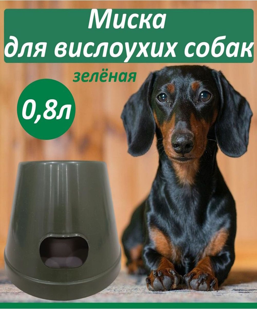 Миска для вислоухих собак 0,8л Прованс конусная зеленая #1