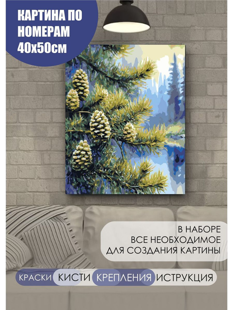 Картина по номерам Хвоя Шишки Сосна на холсте с деревянным подрамником размер 40х50, акриловые краски, #1