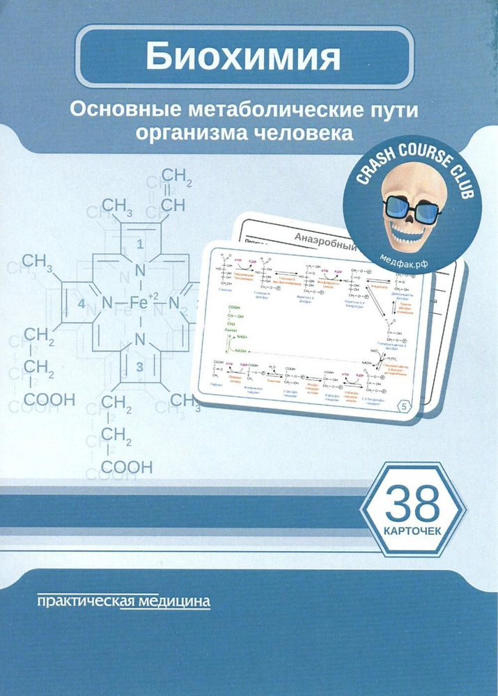 Биохимия. Основные метаболические пути организма человека (38 карточек)  #1