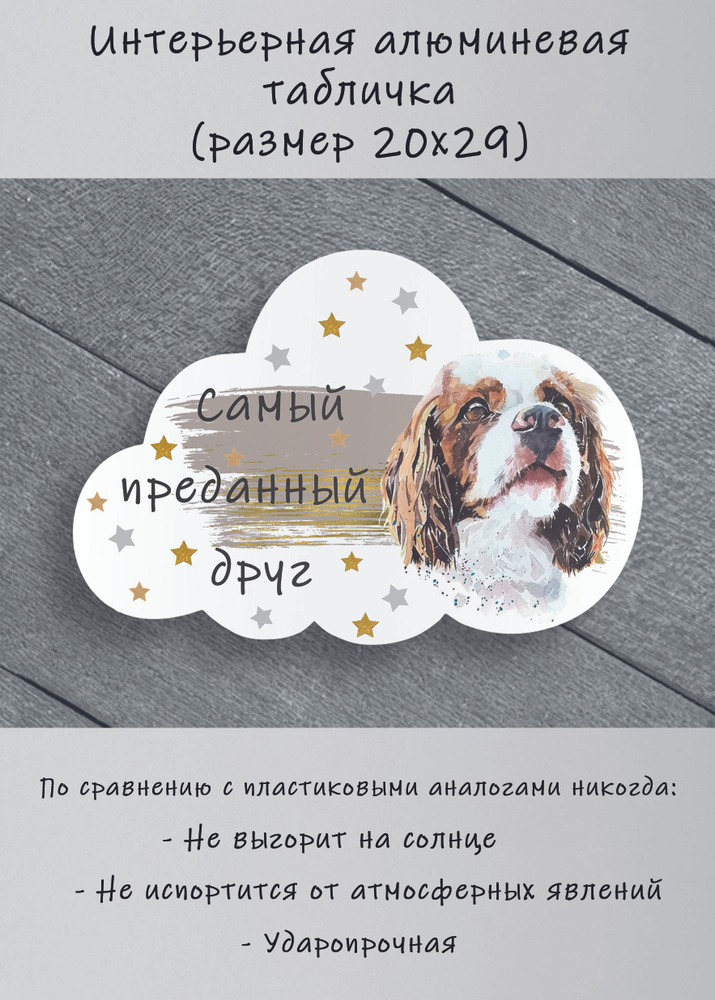 Табличка cooperative.moscow " Кавалер кинг чарльз спаниель (смотрит вверх) " (табличка Кавалер кинг чарльз #1