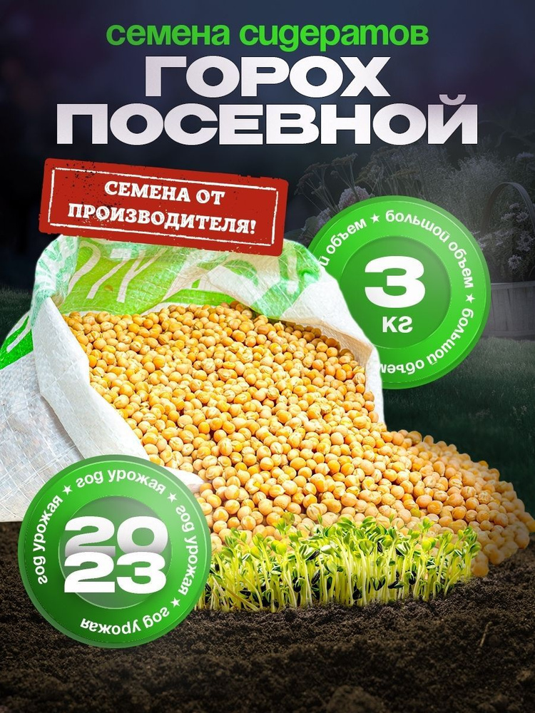 Семена Горох посевной 3 кг #1