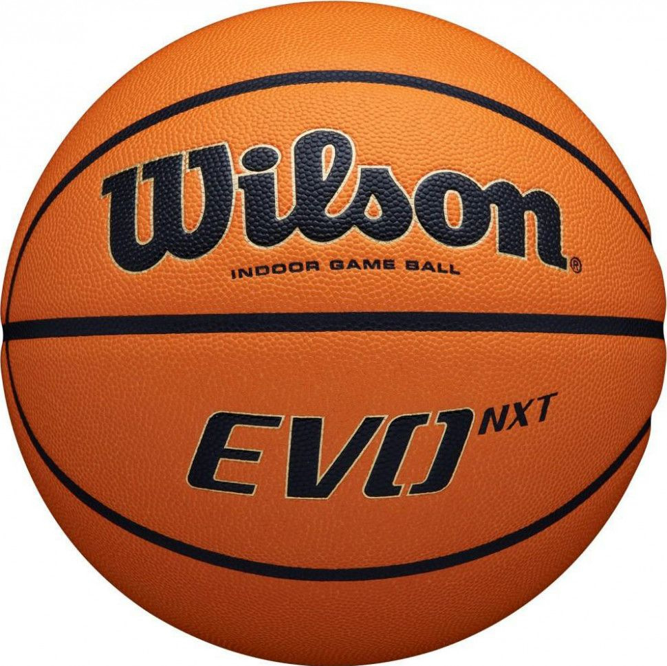 Мяч баскетбольный WILSON Evo, р. 7 #1