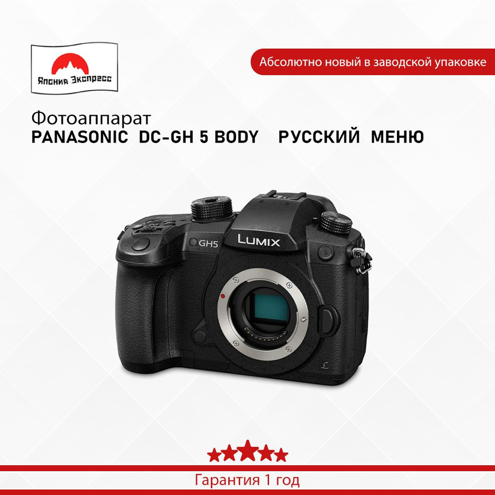 Panasonic Компактный фотоаппарат PANASONIC  DC-GH 5    BODY, черный #1