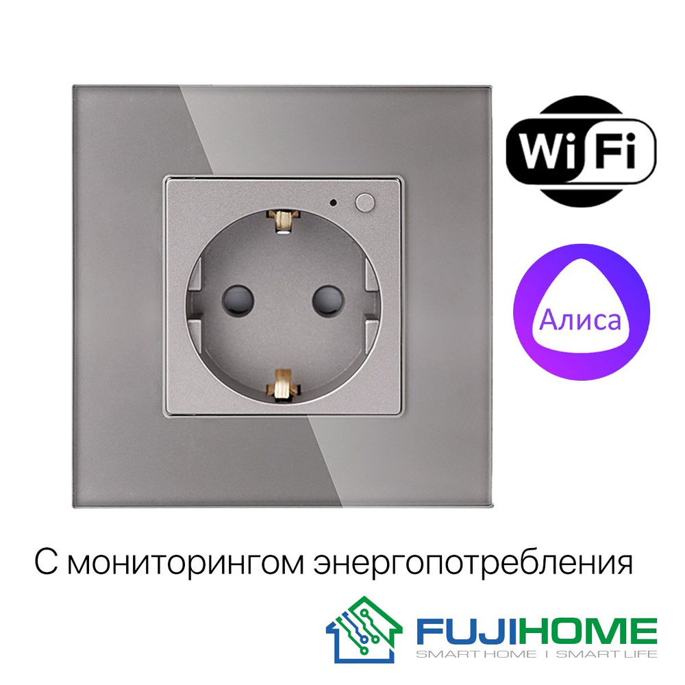 Умная розетка встраиваемая с WiFi, модель FUJIHOME TW-WF1F-GY(CS), работает с Алисой, Smartlife, с мониторингом #1