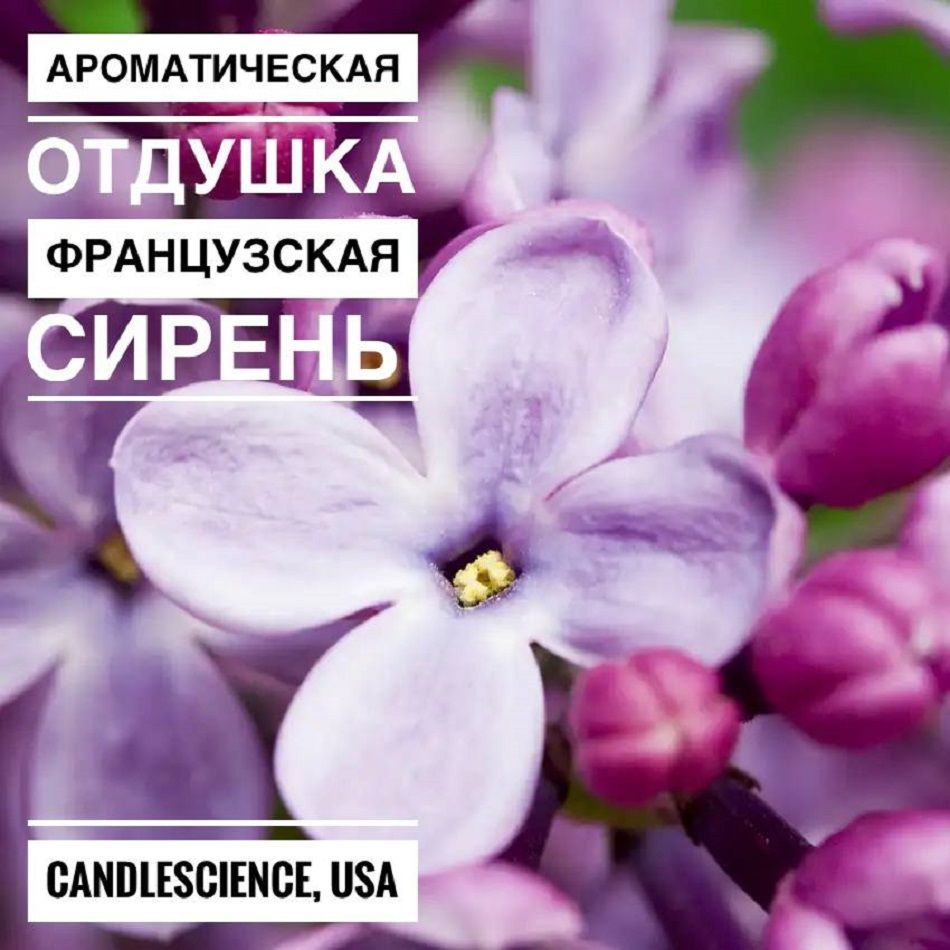 100гр.Французская Сирень СandleScience, Отдушка #1