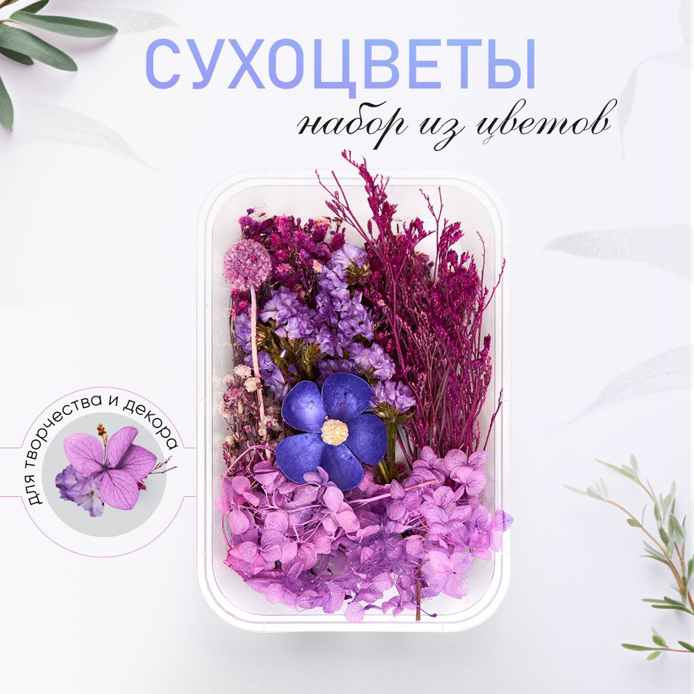 Сухоцветы, 40 гр #1