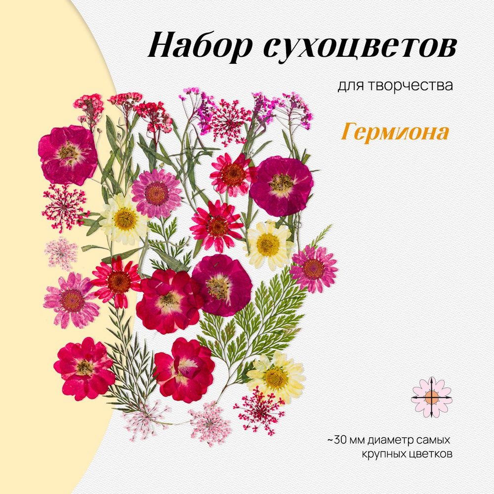 Набор натуральных сухоцветов цветов для творчества, декора, 30 шт., размер набора - 14*10 см/ сухоцветы #1