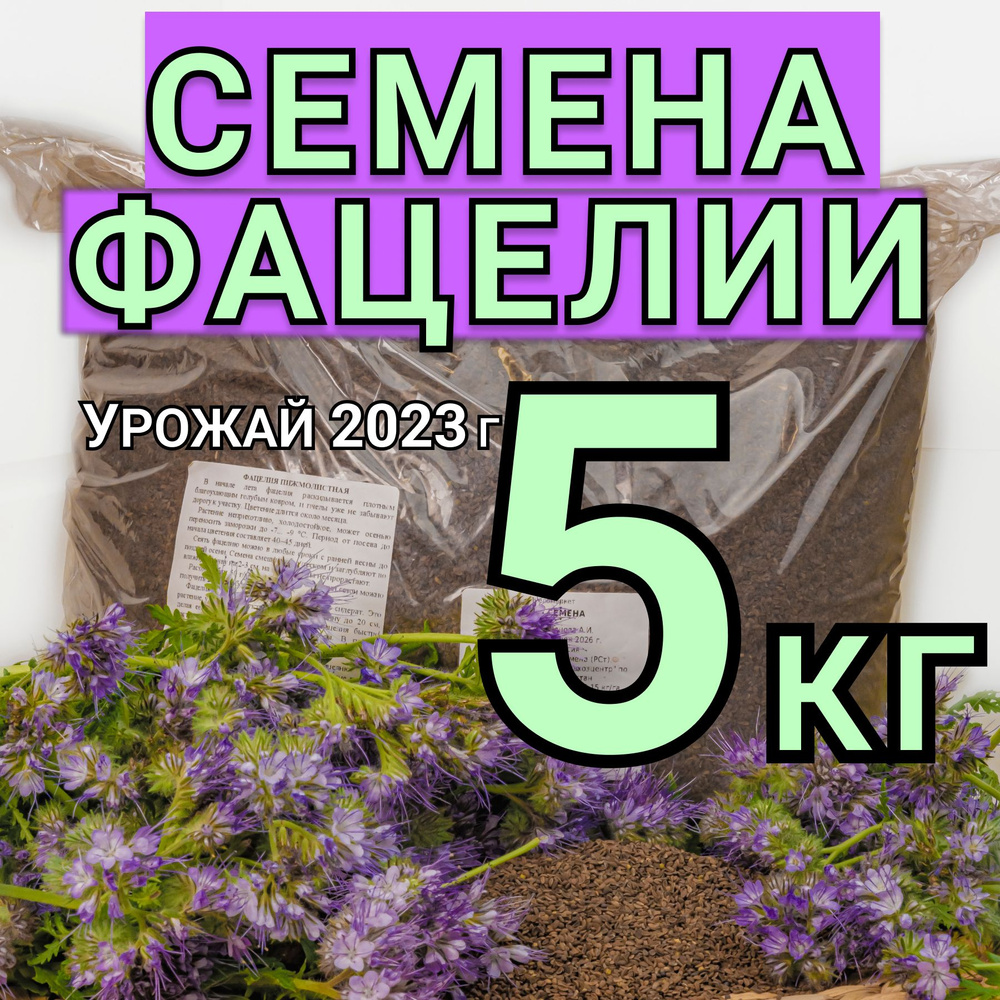 Фацелия семена 5 кг #1