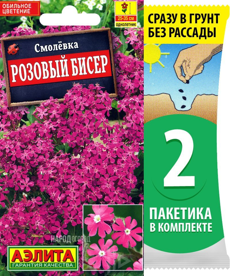 Семена Смолевка Розовый Бисер, однолетние цветы для сада, 2 пакетика по 0,1г/500шт в каждом  #1