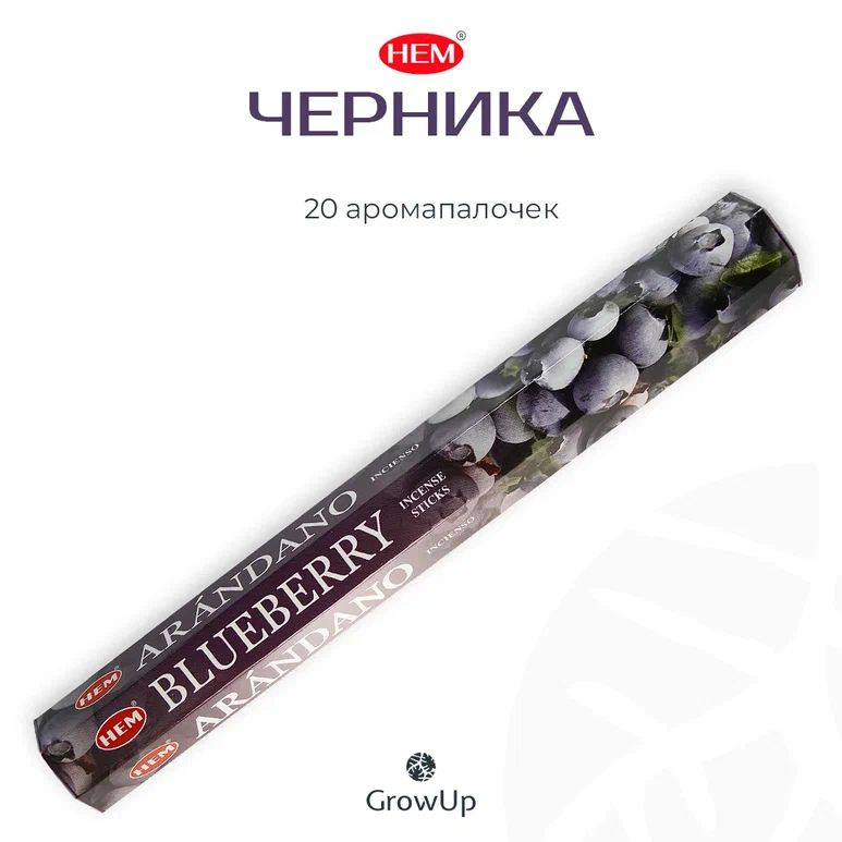 HEM Черника - 20 шт, ароматические благовония, палочки, Blueberry - Hexa ХЕМ  #1
