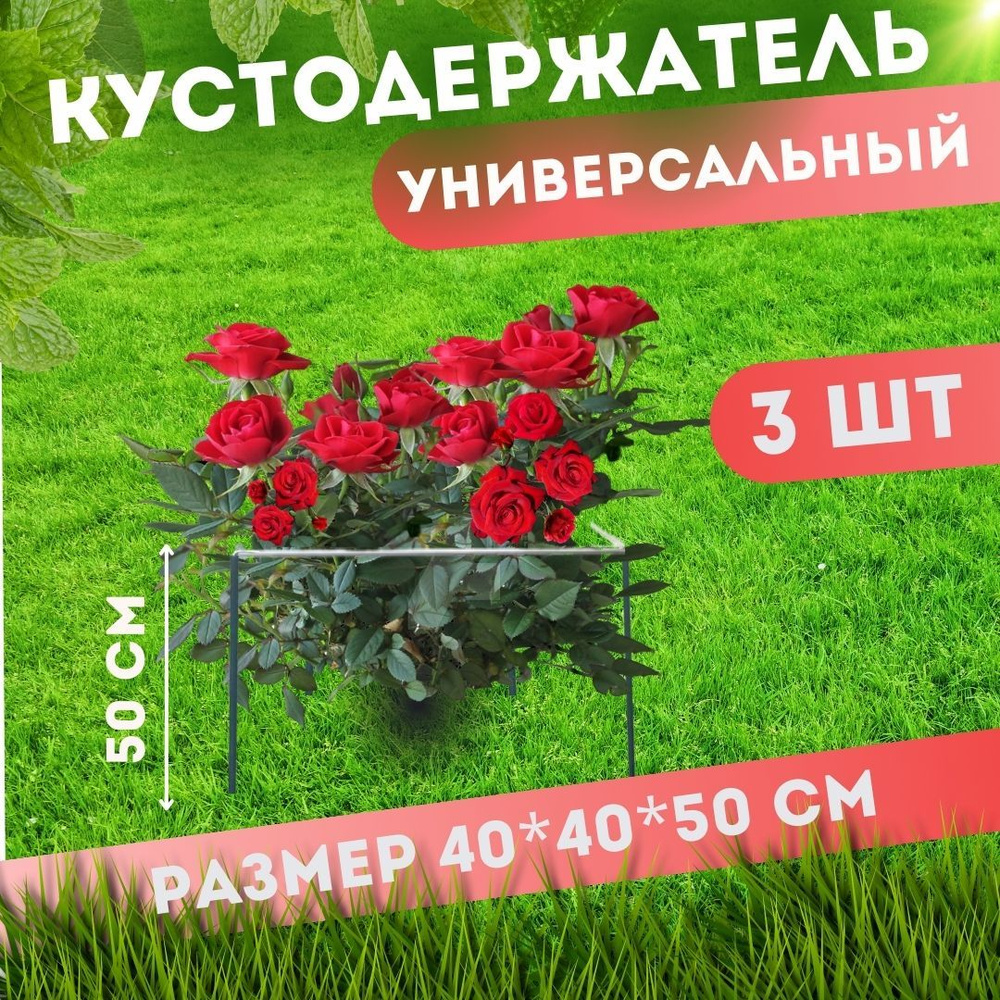 Комплект кустодержатель 3 шт/ опора для цветов, растений/ 40х40 см / МастерПласт  #1