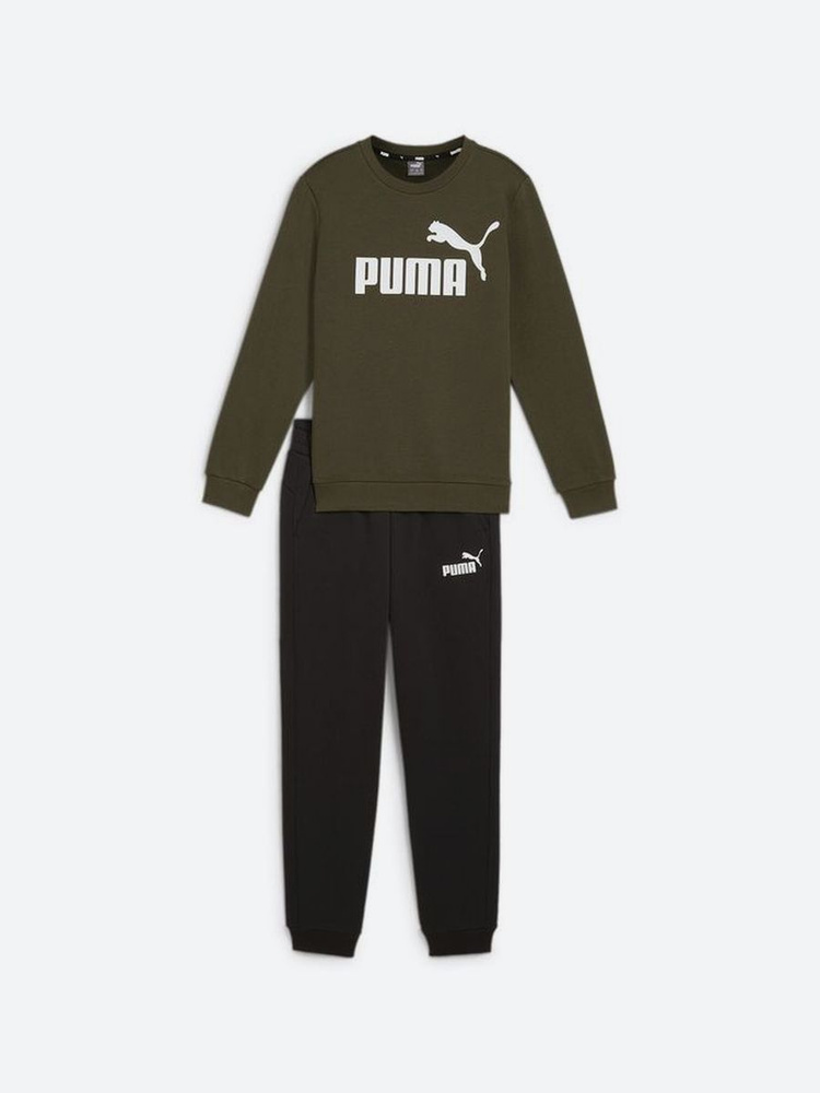 Костюм спортивный PUMA No.1 Logo Sweat Suit Fl B #1