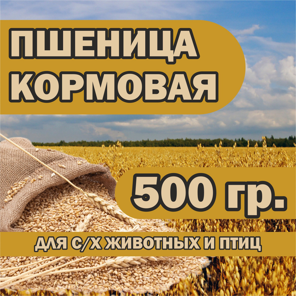 Пшеница кормовая 500 гр. #1