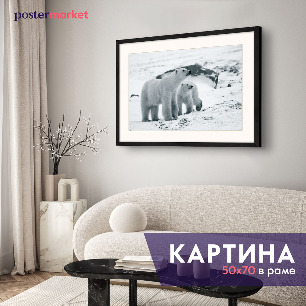 Картина в раме Postermarket "Белые мишки" 50х70 см #1