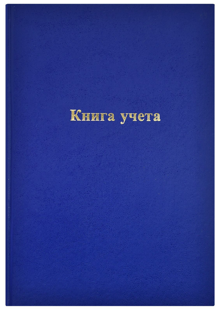 Книга учета inФОРМАТ Синяя, 96 листов, линия, А4, офсет, бумвинил, фольга, вертикальная (KYA4-BV96K/LIN) #1