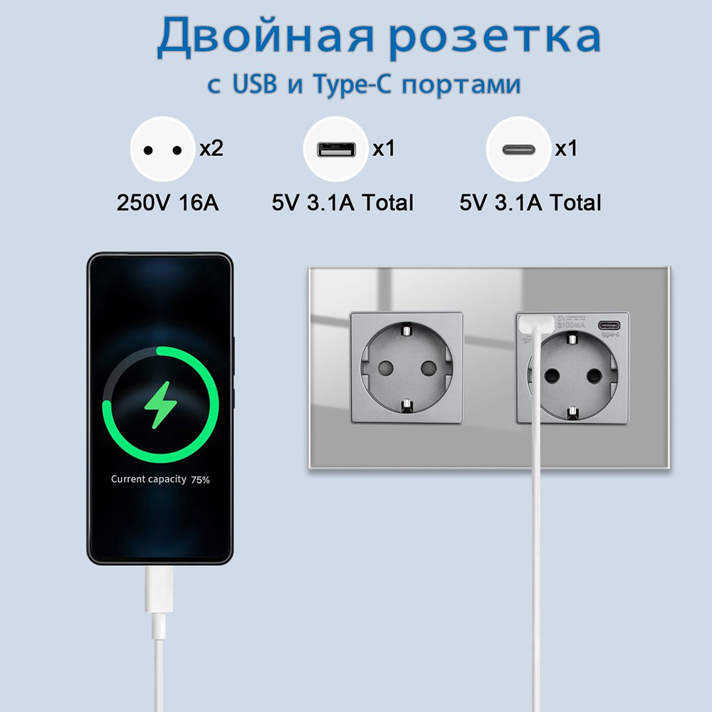 Двойная серый розетка с USB и Type-C портами 3.1 А #1