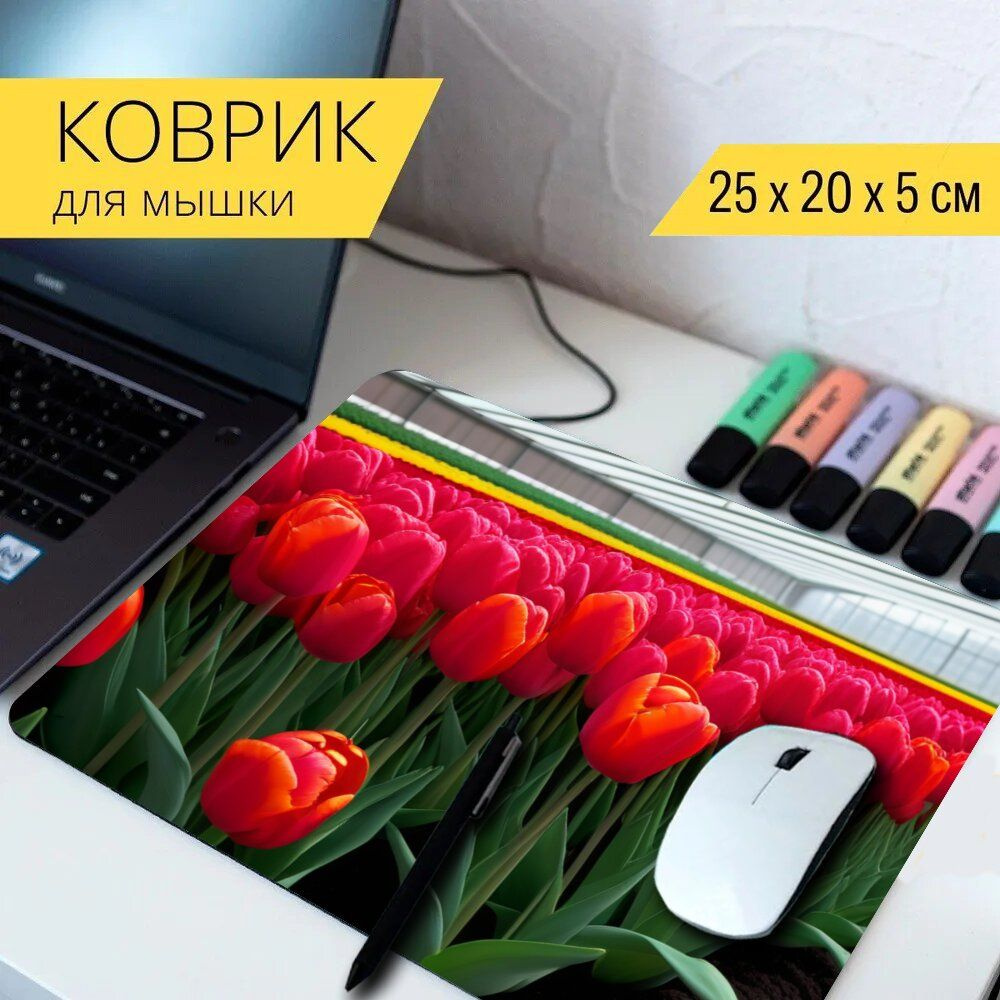 LotsPrints Коврик для мыши poc-PLACES-TULIP-1892, разноцветный #1