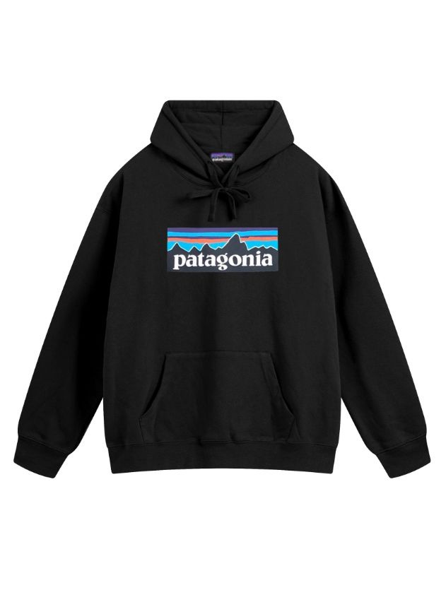 Толстовка Patagonia #1