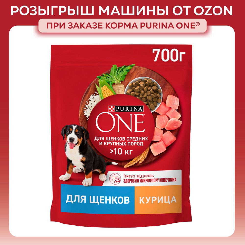 Сухой корм для щенков Purina ONE для средних и крупных пород, c курицей и рисом, 700 г  #1