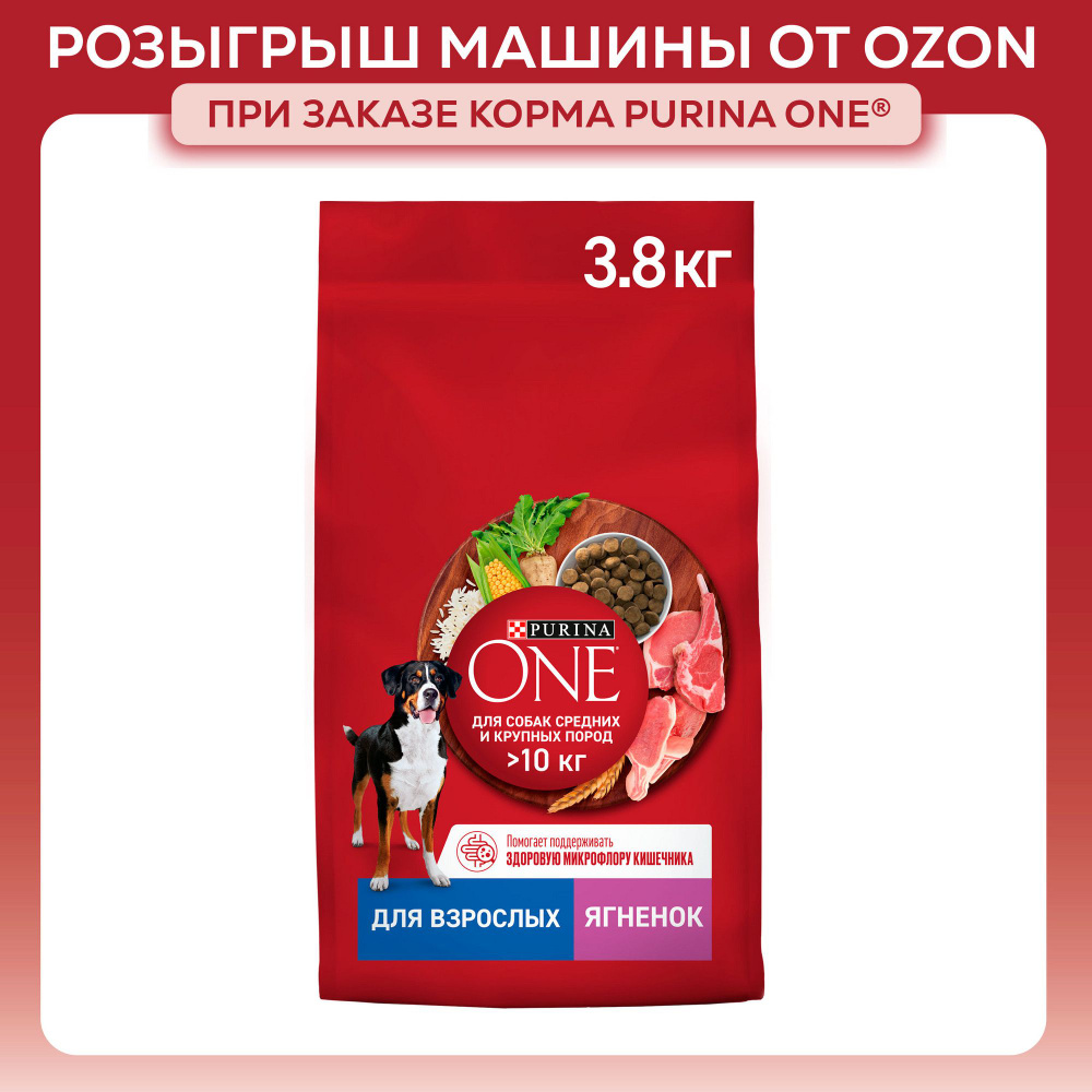 Сухой корм для собак Purina ONE для средних и крупных пород, с ягненком и рисом, 3,8 кг  #1