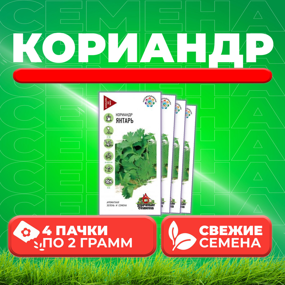 Кориандр Янтарь, 2,0г, Удачные семена (4 уп) #1