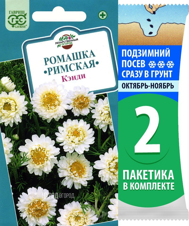 Семена Ромашка римская (пупавка или пупавник благородный) Кэнди, 2 пакетика по 0,05г/220шт  #1