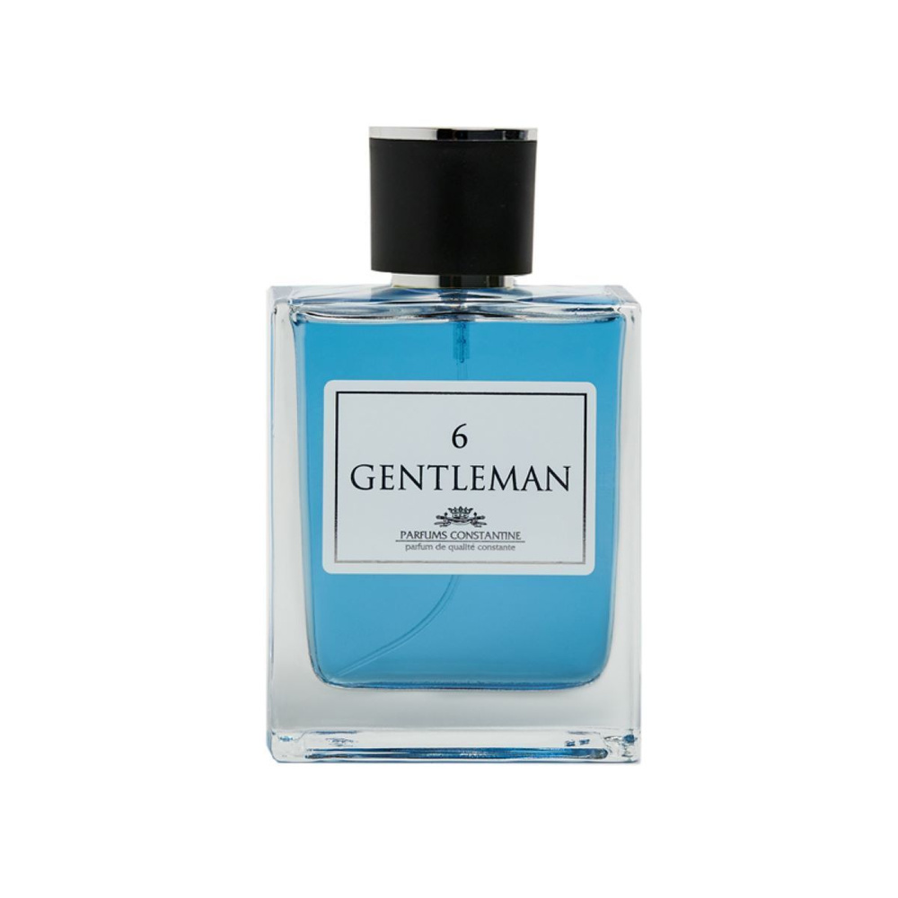 PARFUMS CONSTANTINE GENTLEMAN 6 туалетная вода мужская, 100 мл #1