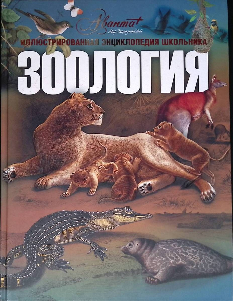 Иллюстрированная энциклопедия школьника "Зоология" | Бабенко В., Мирнова С.  #1