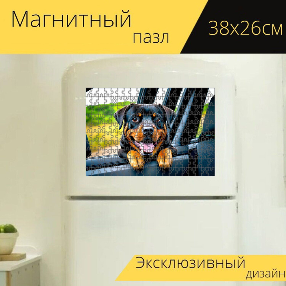 Магнитный пазл "Ротвейлер, путешествующий с владельцем на автомобиле, выглядывающий из окна с восхищением" #1