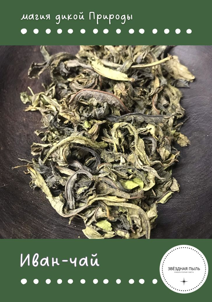Иван чай, листья