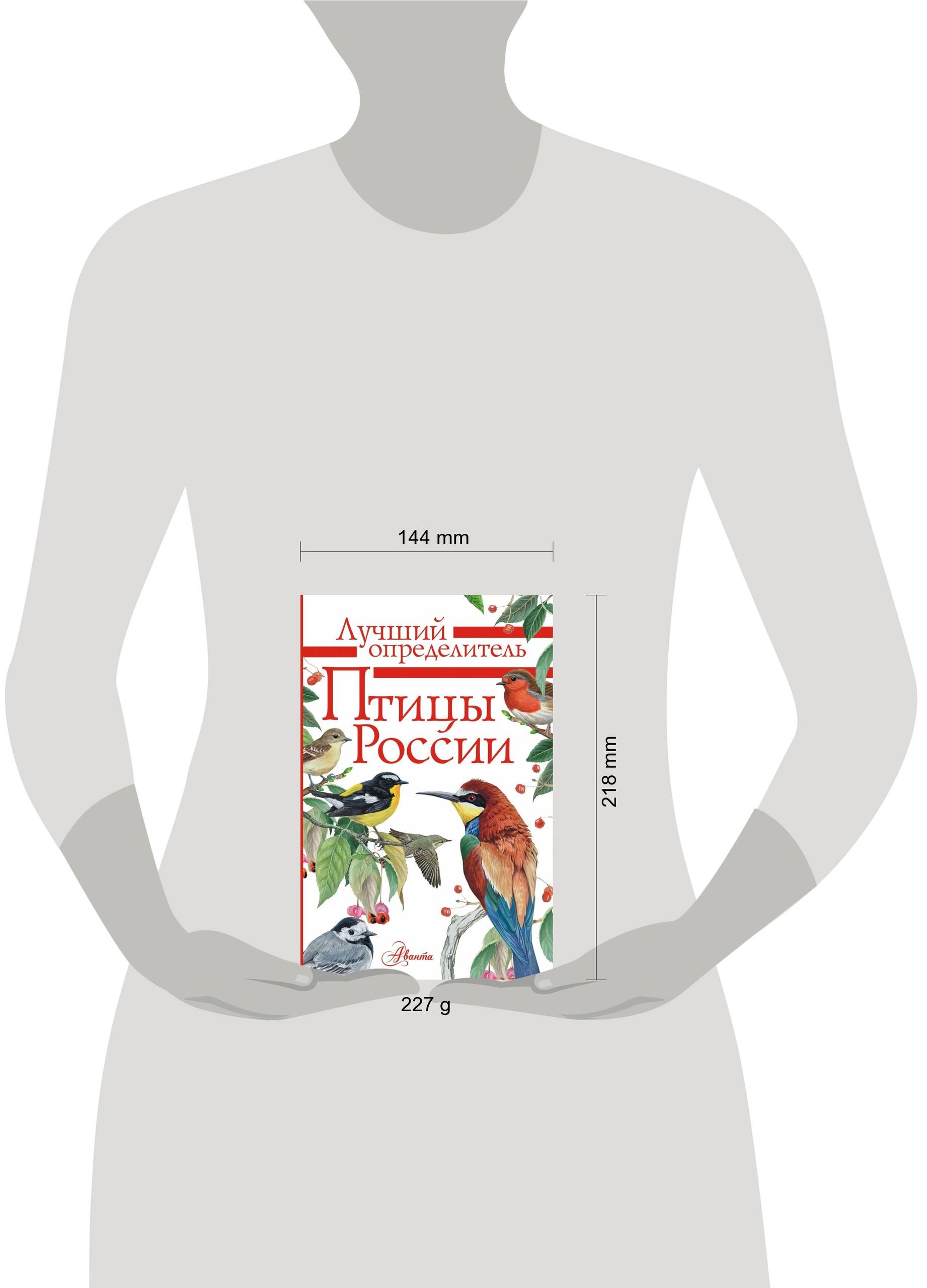 Птицы России | Birds of Russia - Ozon image 1