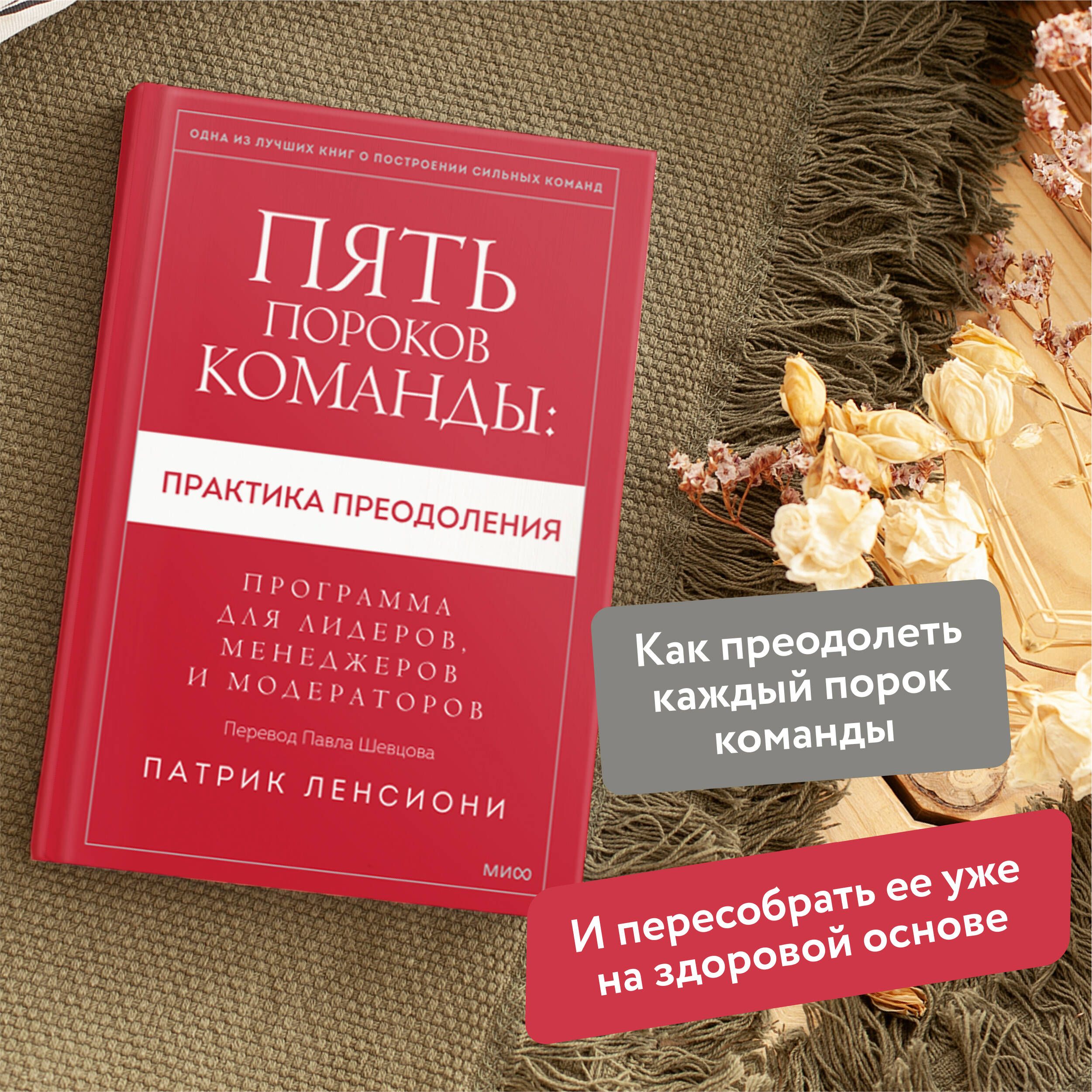 Пять пороков команды: практика преодоления. Программа для лидеров, менеджеров и модераторов - Ozon image 1