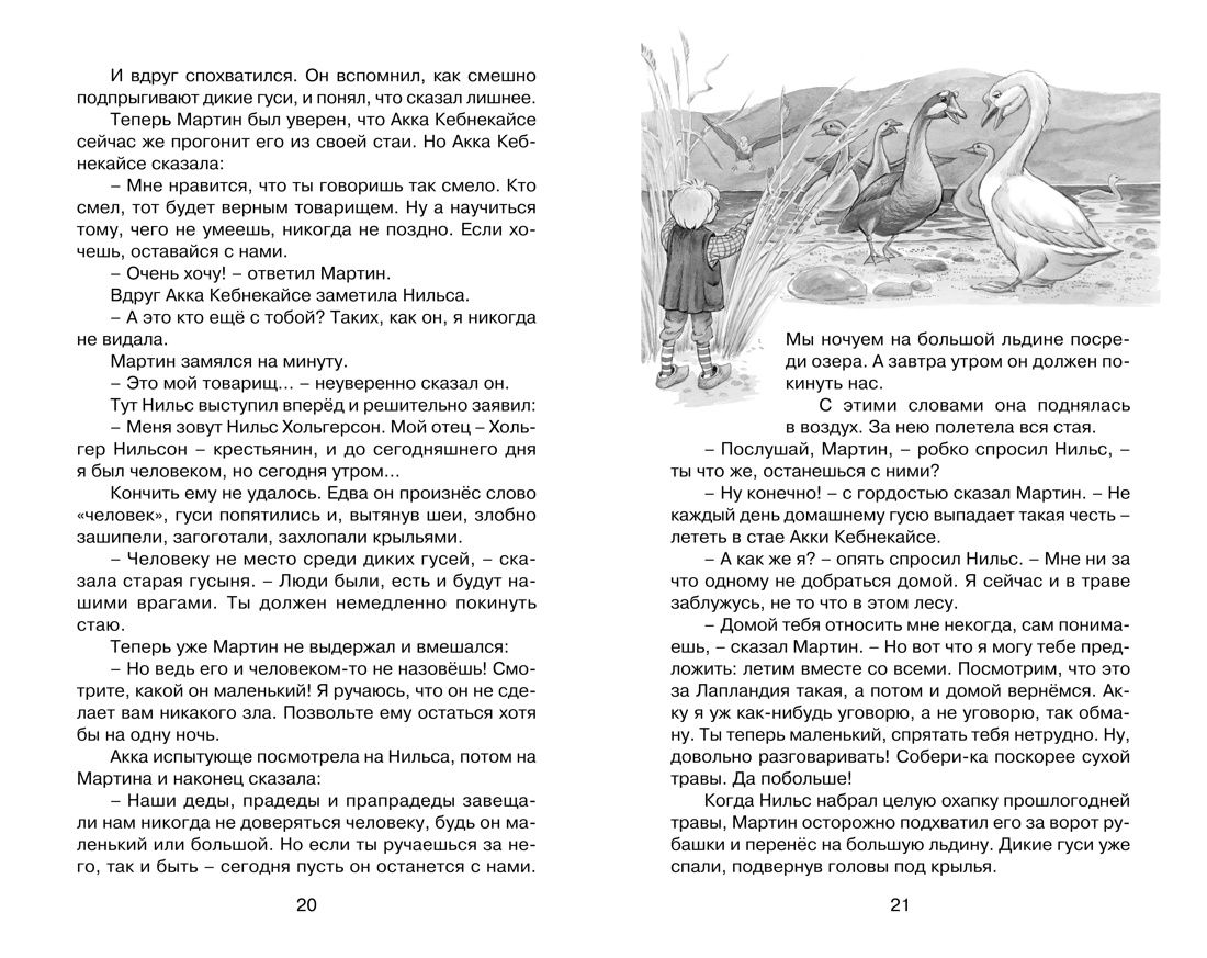 Чудесное путешествие Нильса с дикими гусями | The Wonderful Adventures of Nils - Ozon image 7