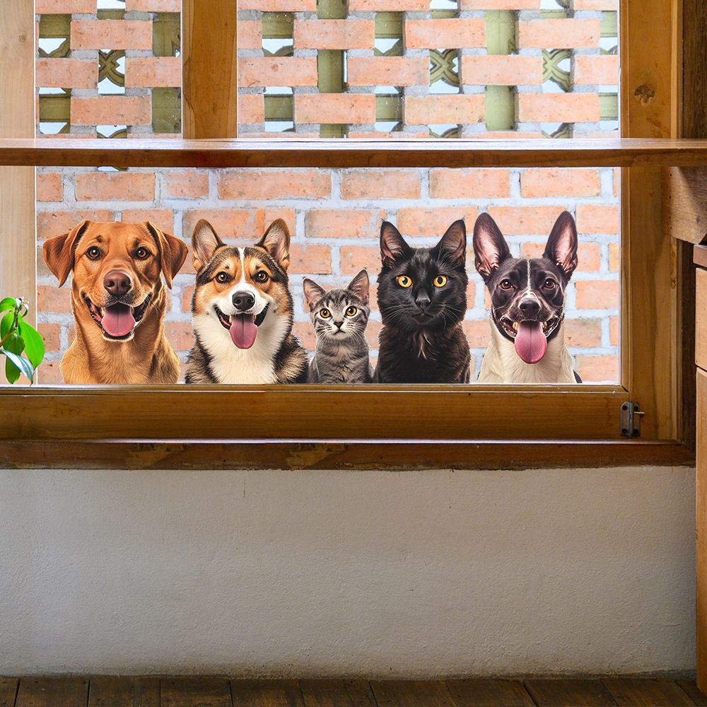 Пленкадляоконстатическая