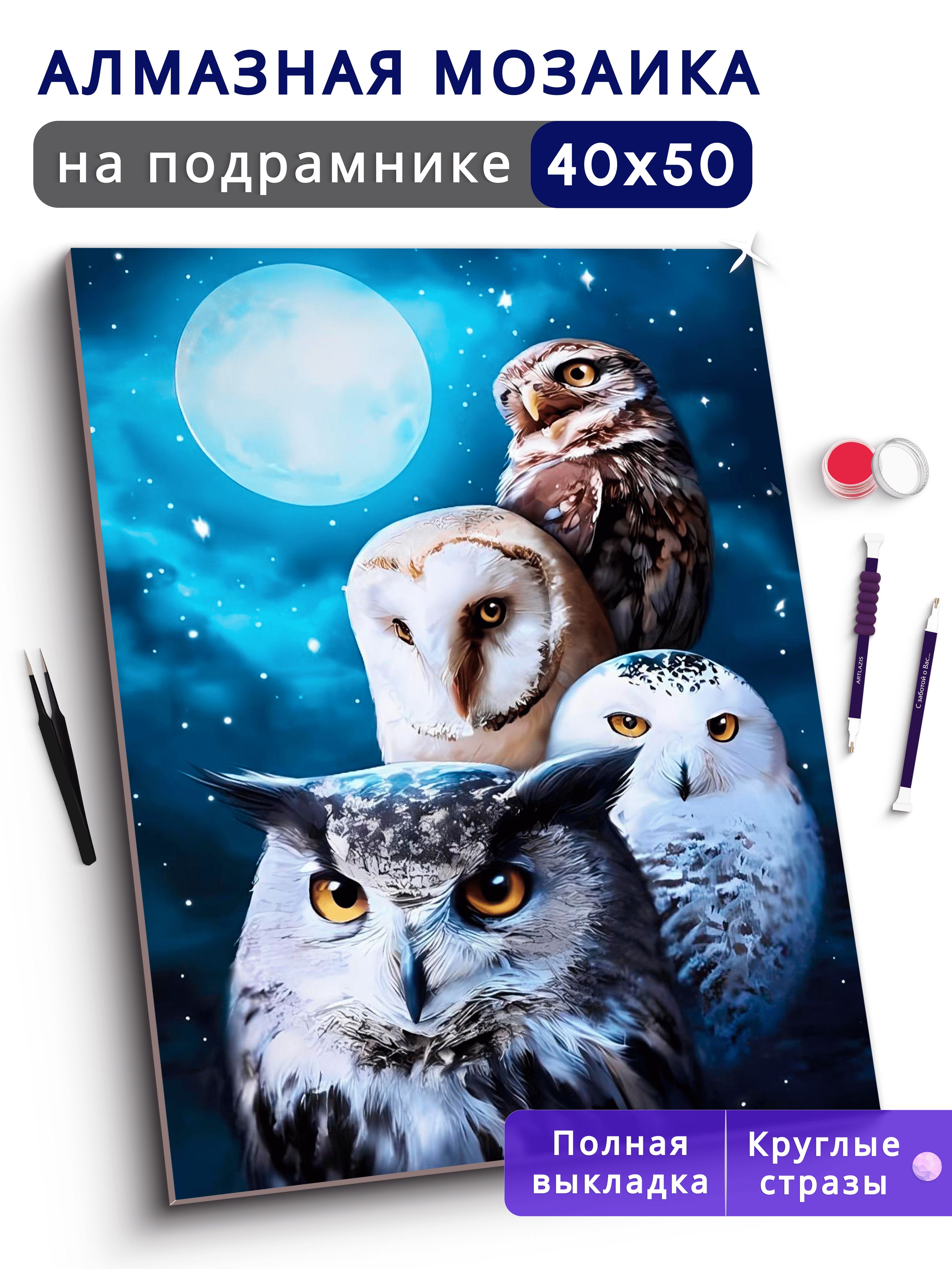 Алмазнаямозаиканаподрамнике40х50ВышивкаЖивописьСовы