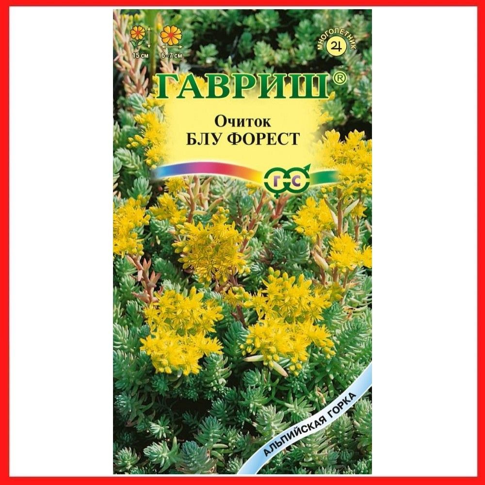 Семена Очиток отогнутый "Блу Форест" Седум 0,01 гр, многолетние цветы для дачи, сада и огорода, клумбы, #1