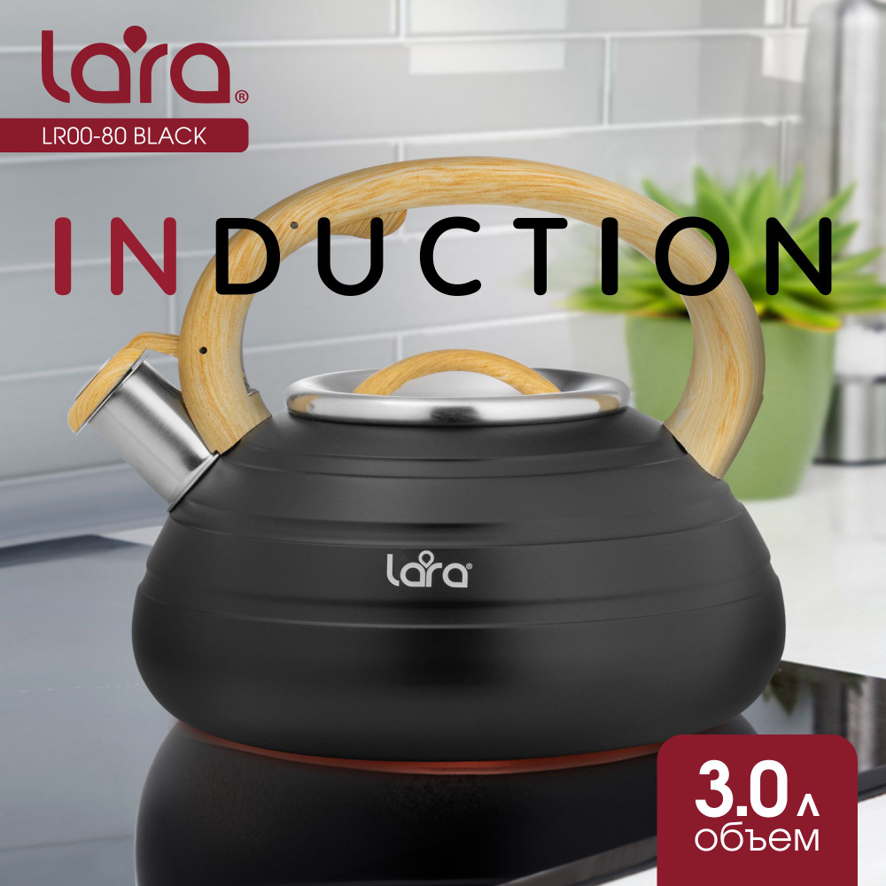 Чайник LARA Black 3.0 л, из нержавеющей стали, для индукционных плит, для всех видов плит, для кухни #1