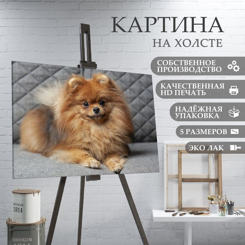 ArtPrintPro Картина "Милая собака Шпиц (15)", 60  х 40 см #1