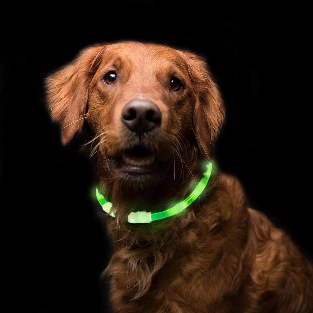Ошейник для собак светящийся светодиодный 70 см зеленый  #1