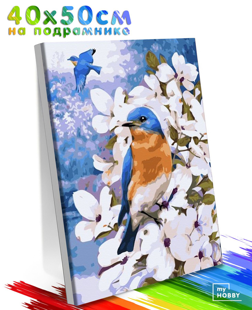 Картина по Номерам на Холсте 40х50 см Colibri Синие Птички на Цветке С Подрамником для Детей и Взрослых #1