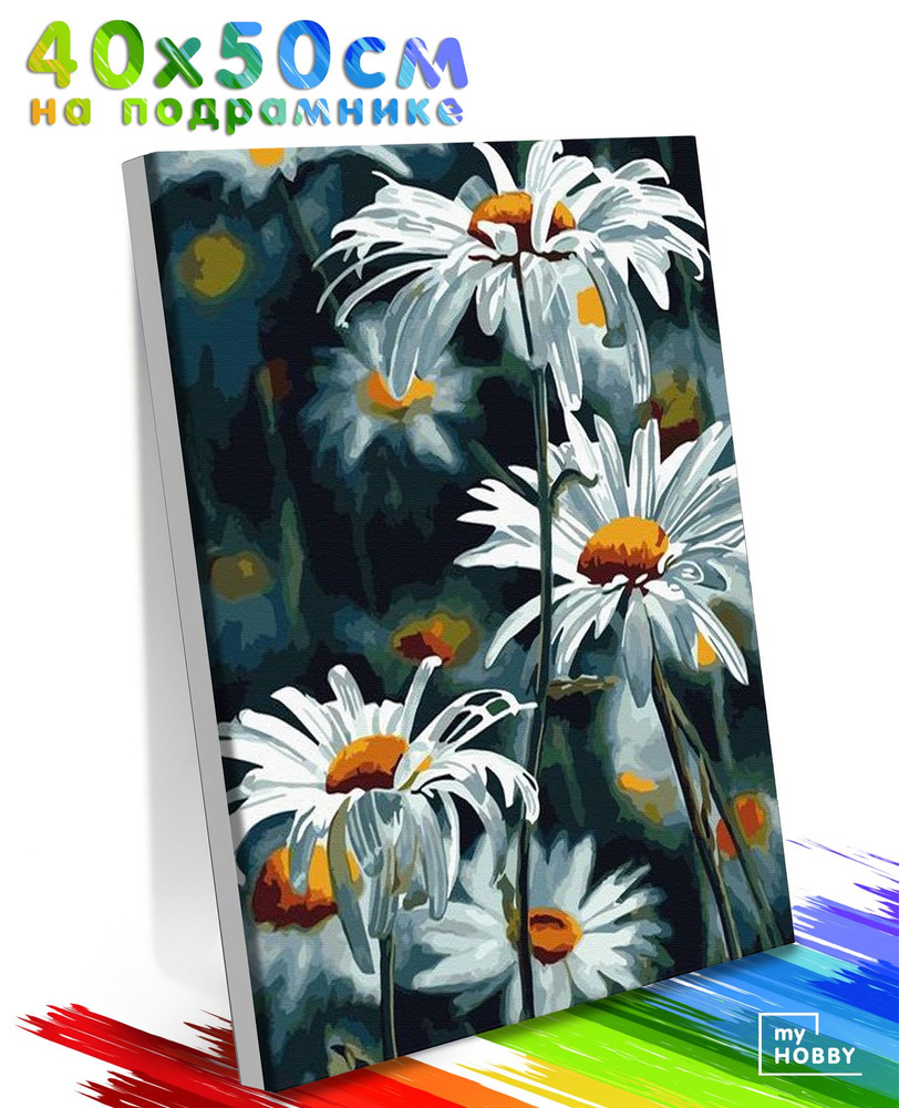 Картина по Номерам на Холсте 40х50 см Colibri Ромашки Цветы С Подрамником для Детей и Взрослых  #1
