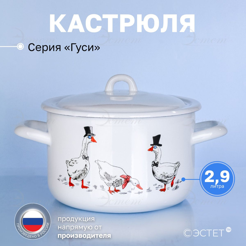 Кастрюля с крышкой 2.9 л "Эстет" эмалированная / кастрюля для индукционных плит  #1