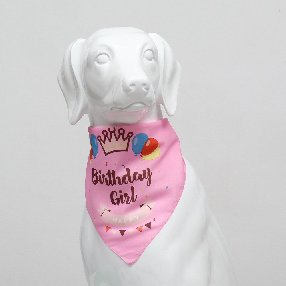 Платок для животных "С днем рождения", 15 х 12 х 1 см, розовый  #1