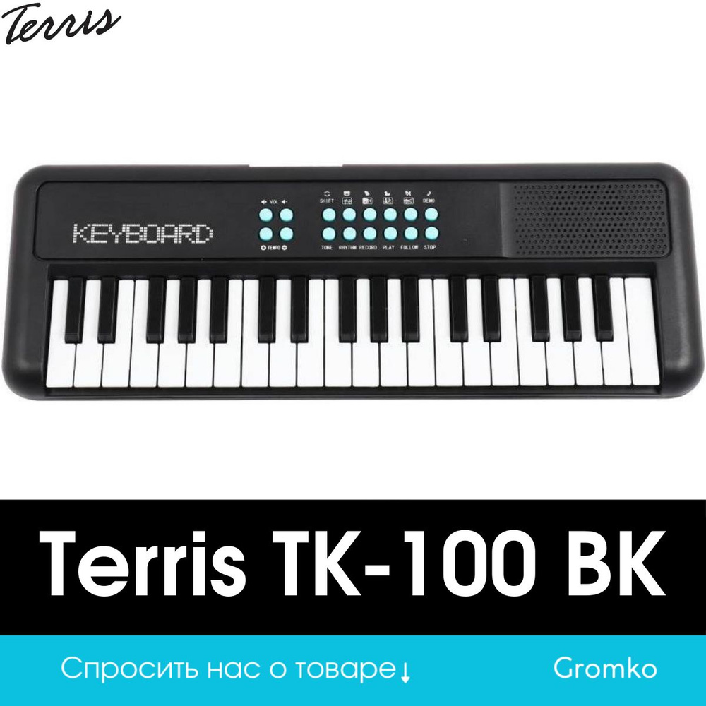Детский синтезатор Terris TK-100 BK #1