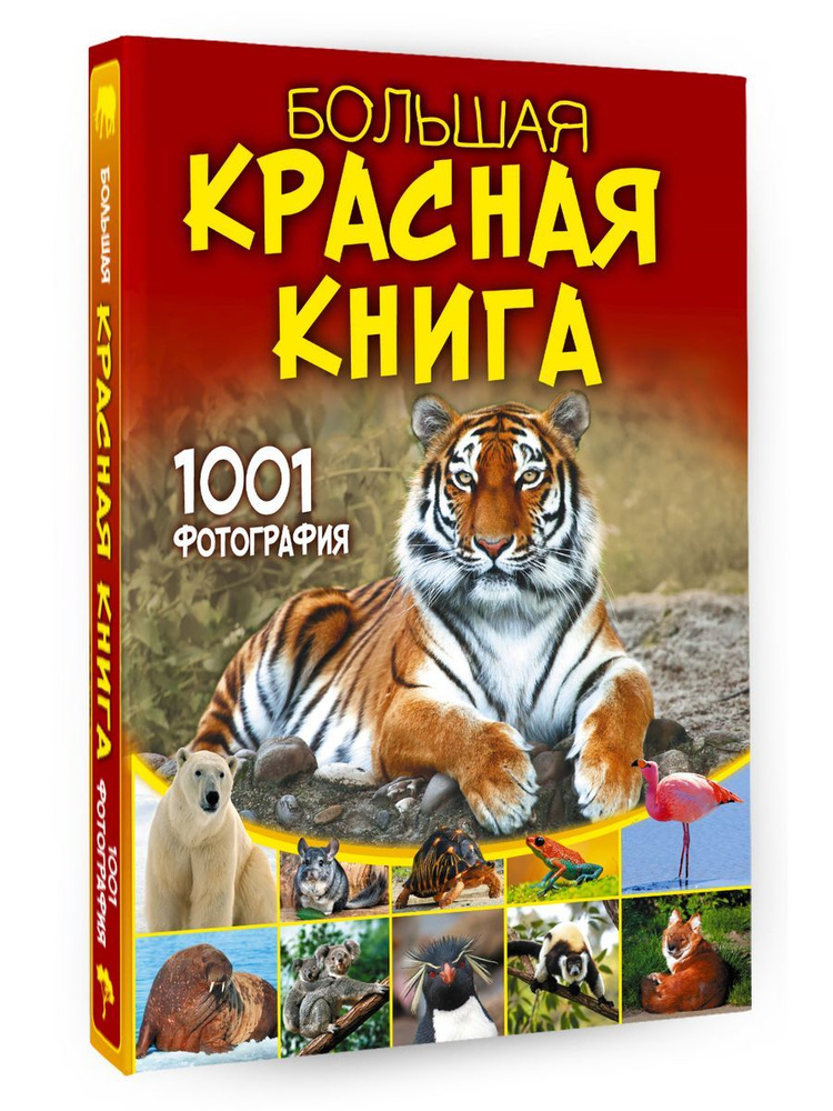 Большая красная книга. 1001 фотография #1