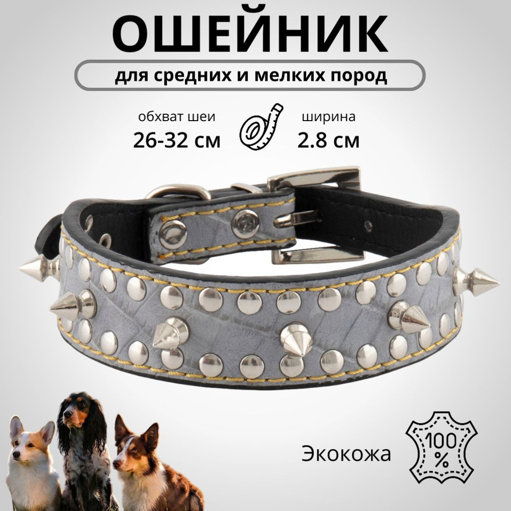 Ошейник для собак мелких и средних пород NUNBELL (26-32см), кожаный с шипами, серый  #1